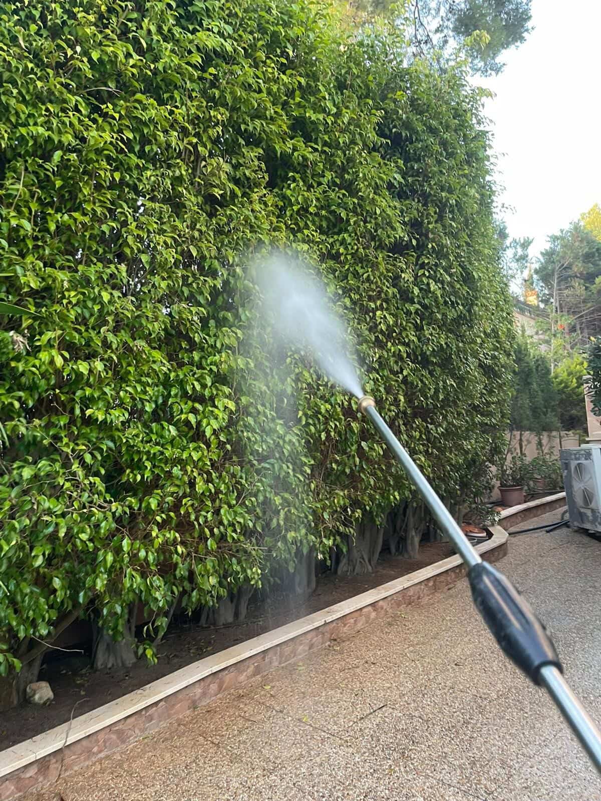 Fumigación profesional de jardines en Mallorca