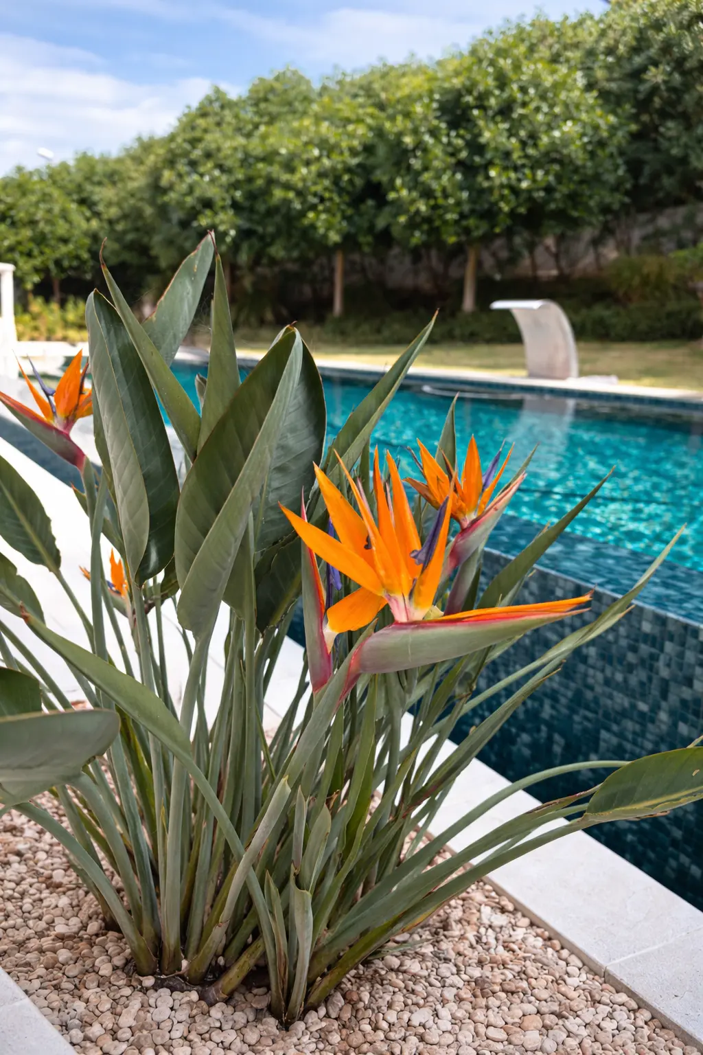 mantenimiento de jardin privado