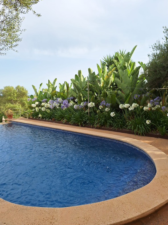 Una piscina