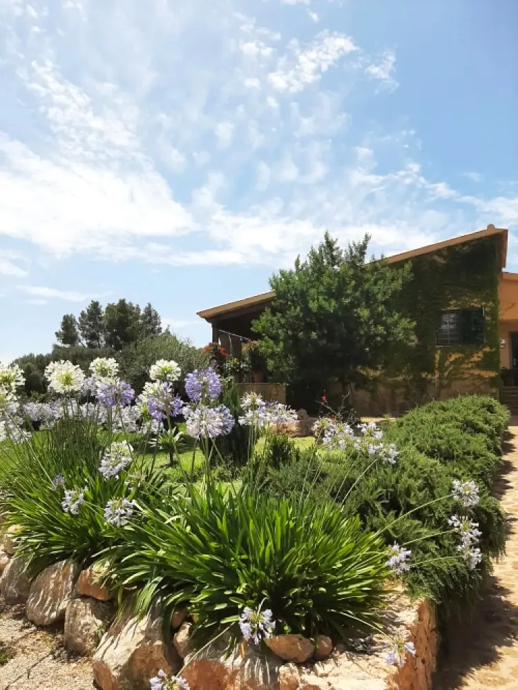 Jardín con una casa